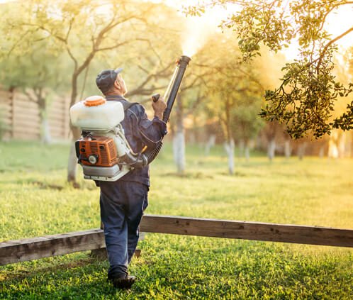 Providing residential pest control in James Island and Folly Beach