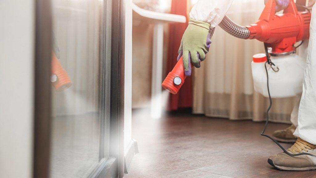 Treating rodents year round in James Island and Folly Beach homes