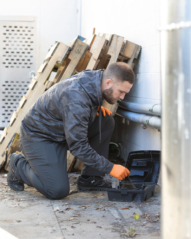 Keeping commercial and residential properties safe from rodents