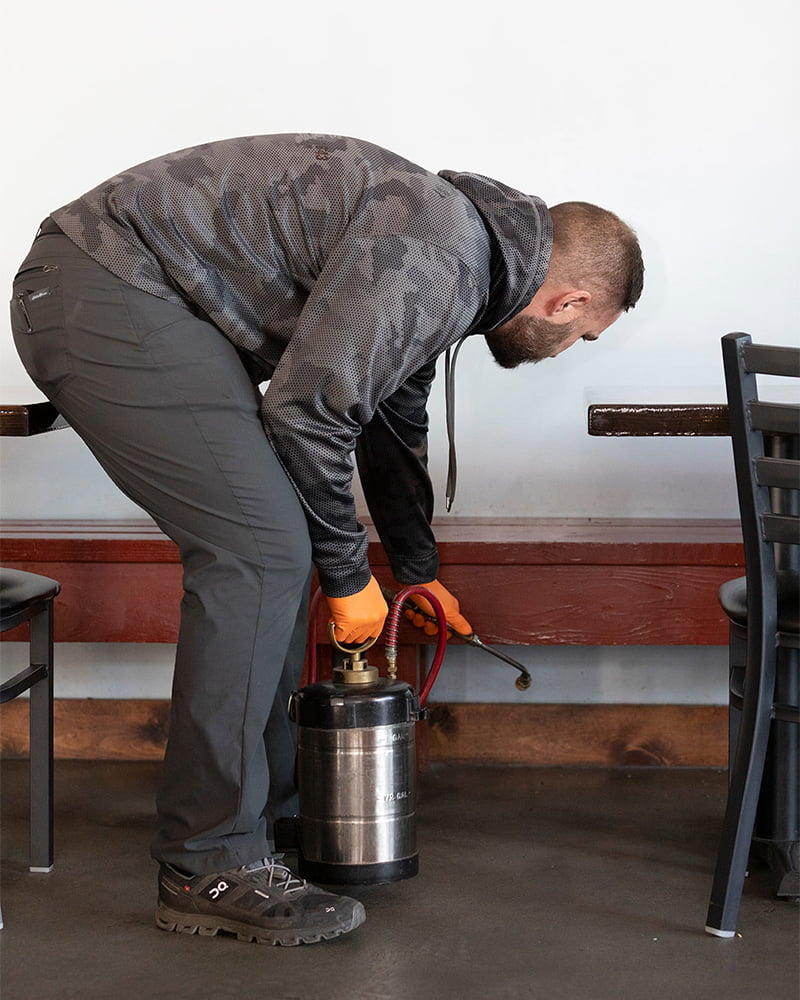 Preventing pests in restaurants from fast food to five star establishments