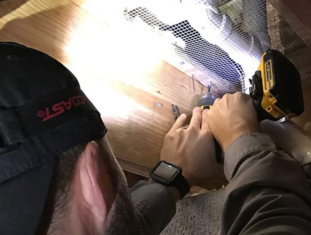 Protecting your property from rats and mice with rodent control