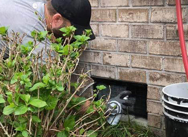 Identifying signs that show the presence of rodents at your property